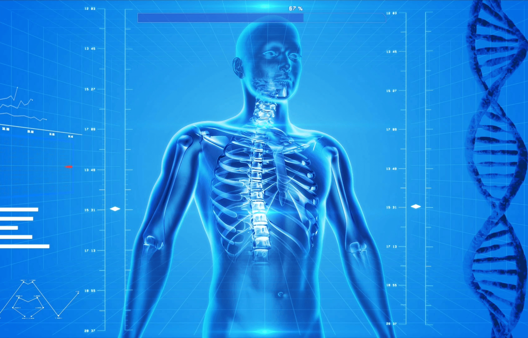 BodyParts3D/Anatomography image 1